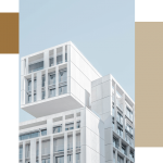 proyecto de actividad